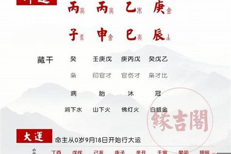 戊申日出生的人的命运