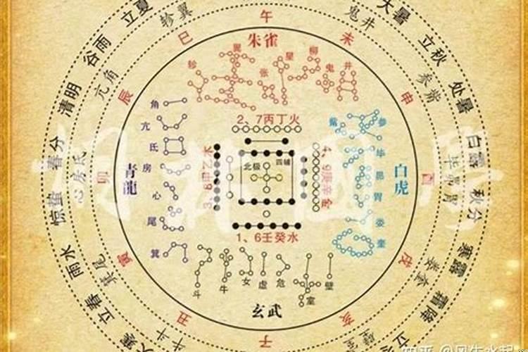 戊申日出生的人的命运