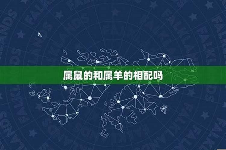 十二生肖鼠和羊配吗