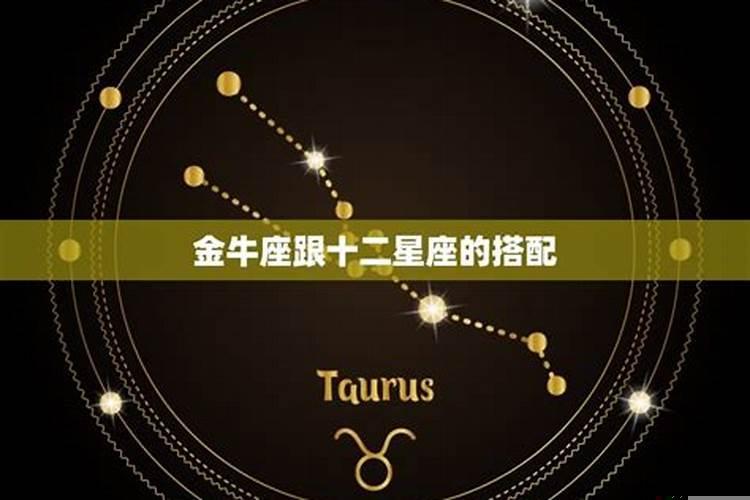 金牛座男生和狮子座