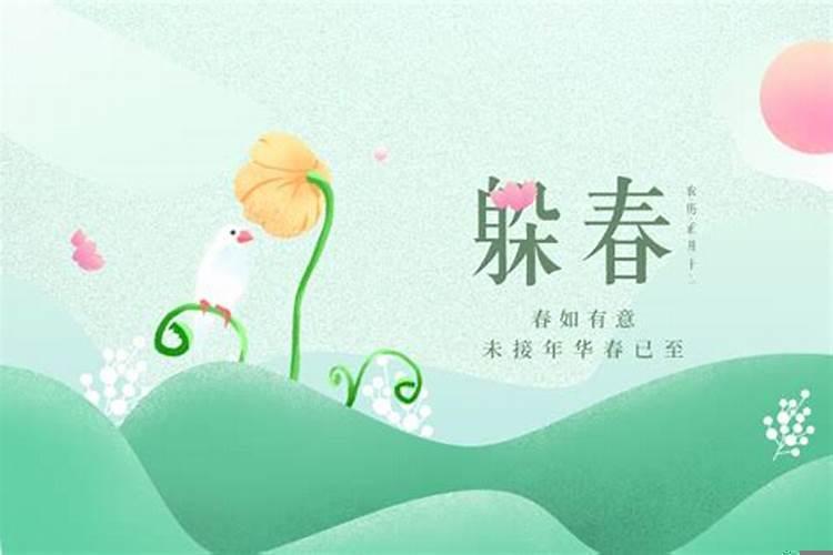 老鼠的新年打算我想对老鼠们说什么