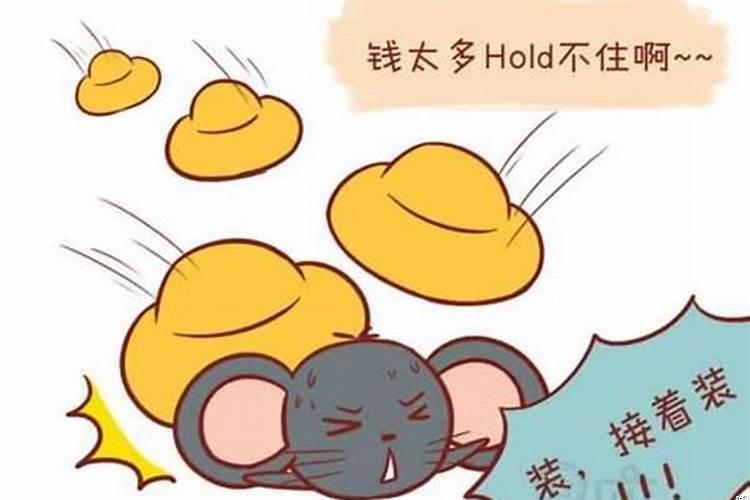 属鼠的女孩喜欢什么样的男孩