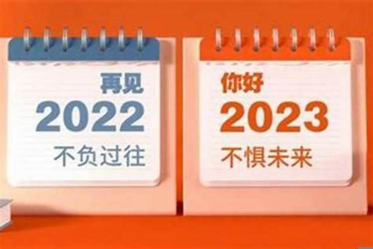 老鼠的新年打算我想对老鼠们说什么