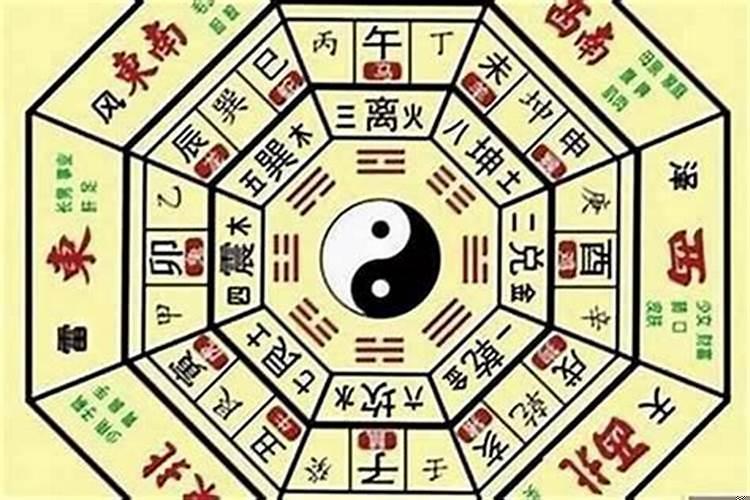 女命八字木多怎样