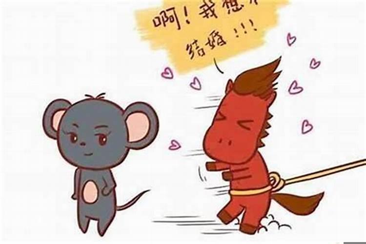 女鼠与男鸡的婚姻状况