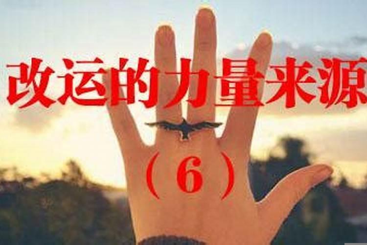 怎样提高运势和财运