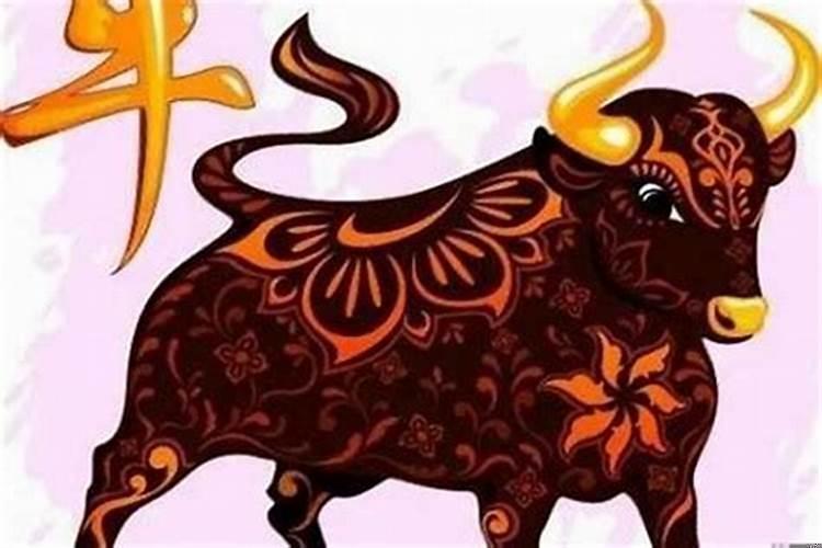 本命牛年适合戴什么