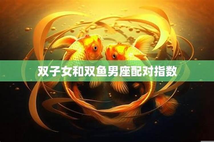 双子女双鱼男座配对指数