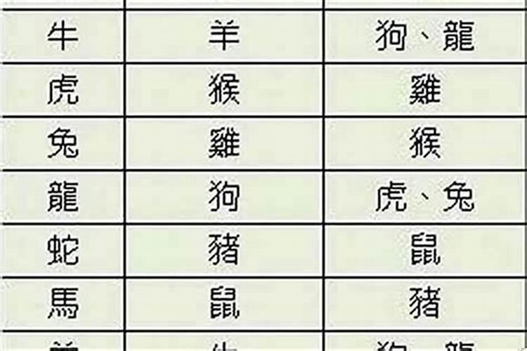 属猪属鼠相配吗婚姻