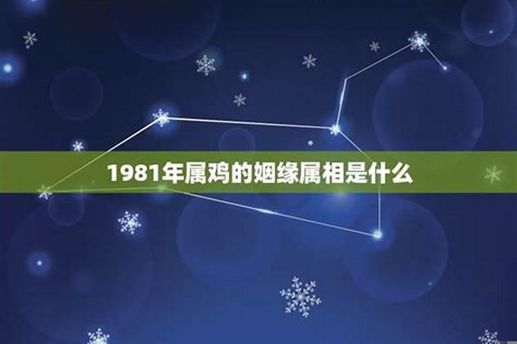 1981年属鸡人一生婚姻如何