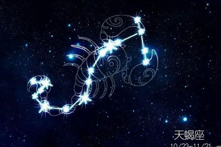 天蝎座和射手座合不合适