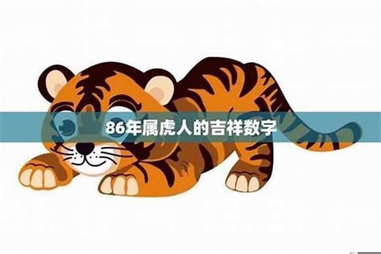 戊辰日柱走戊辰大运