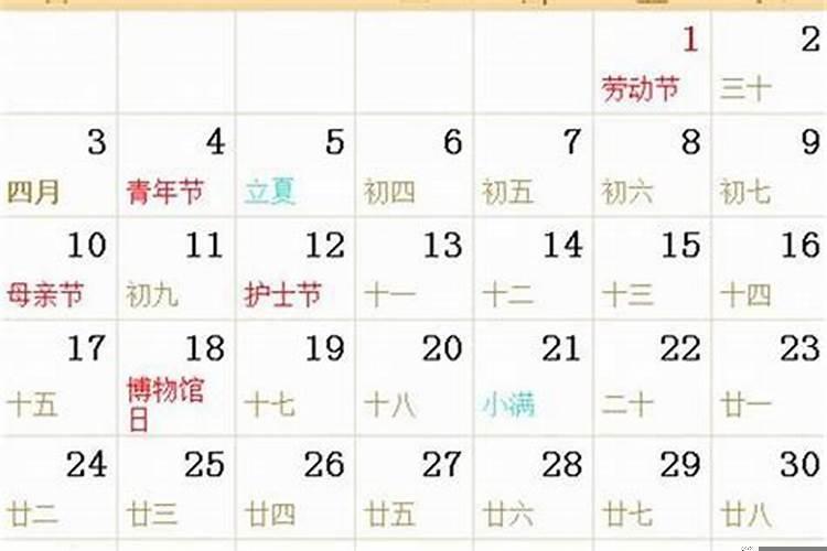 发财树的养殖方法和注意事项详解