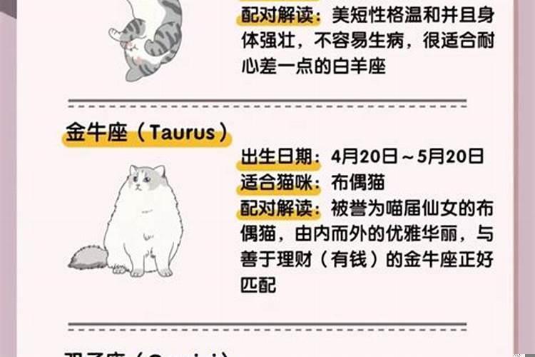 我要看十二星座适合吃什么