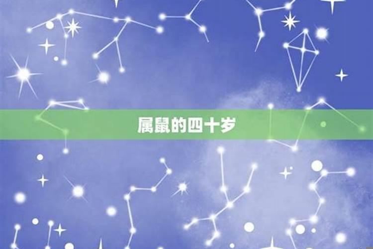 40岁后最富的生肖