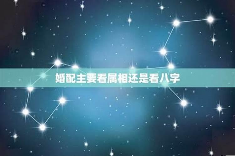 八字看婚配都看什么