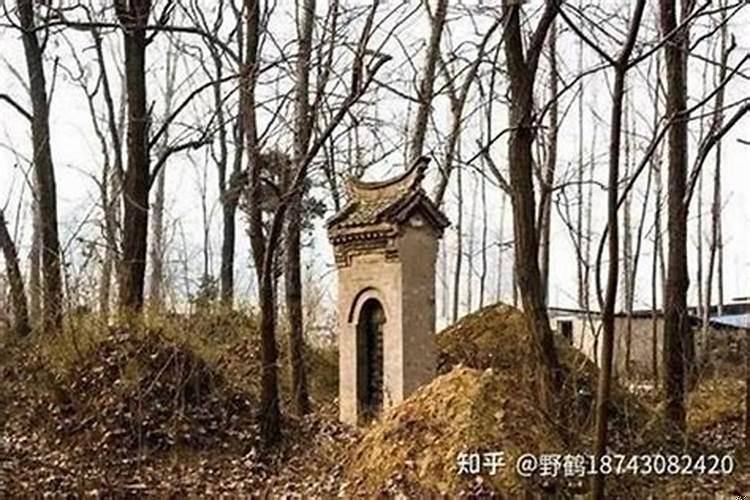 坟地的风水很重要吗