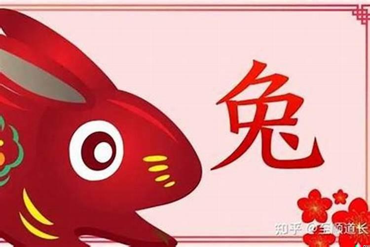 属兔本命年要注意什么