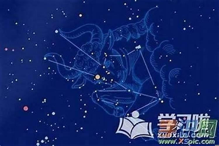 属牛的处女座是什么性格男