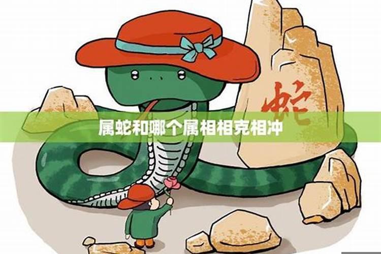属蛇和哪些属生肖相配