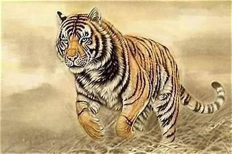 1986年属虎是什么年命