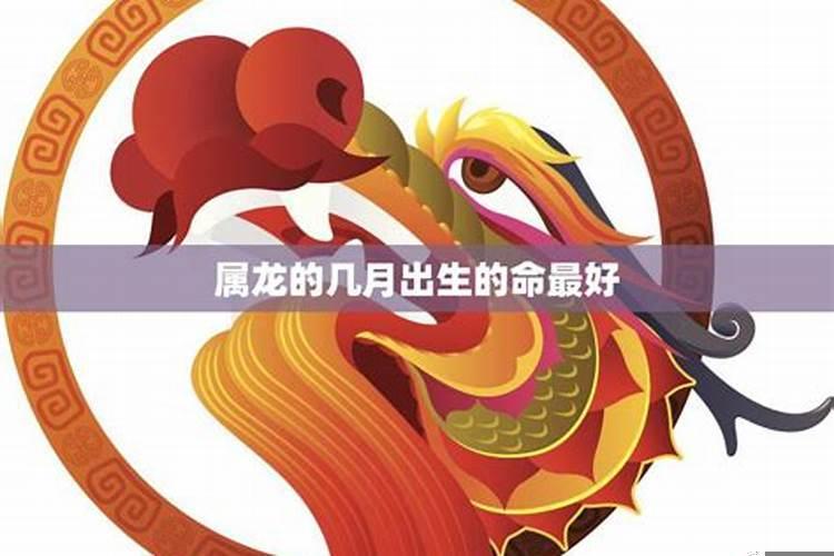 88年龙什么时辰出生好