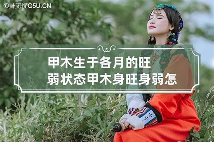 未土生甲木吗