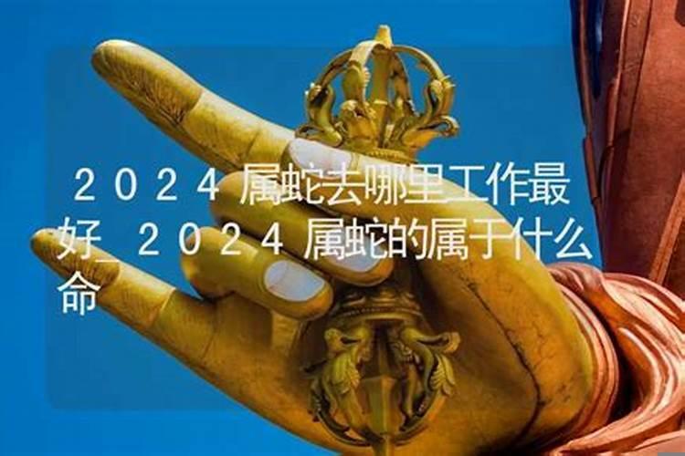 2025属蛇工作的方向