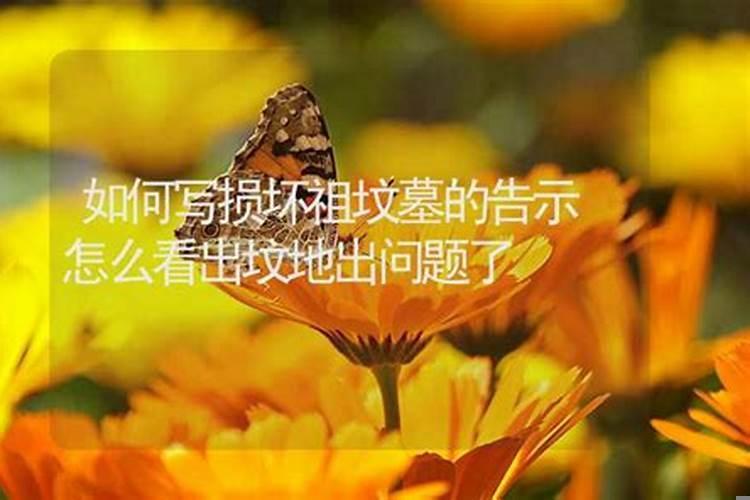 三梯六户东户好还是西户好