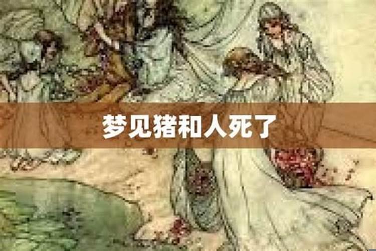 梦见死去的人和猪