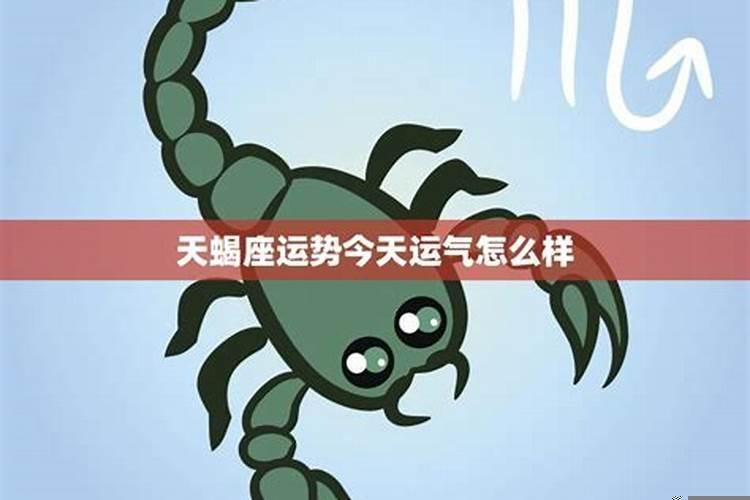 今年天蝎座的运气