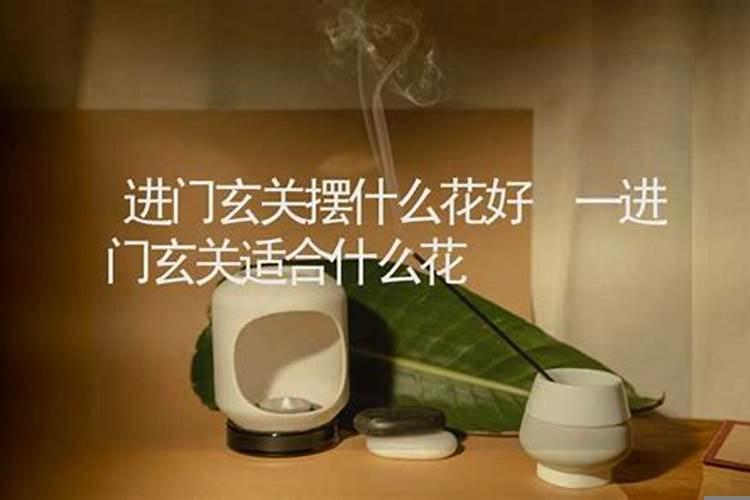 进门摆什么花好