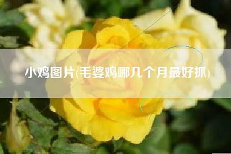 出现家暴婚姻还要吗
