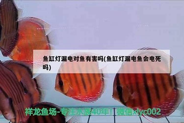 灶口能对厨房门吗