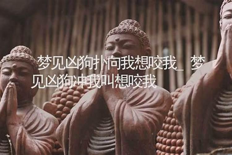 梦见狗冲自己很凶但没咬差点打死狗