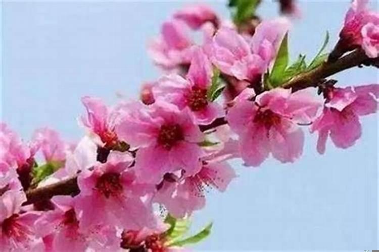 男生怎样增加桃花运