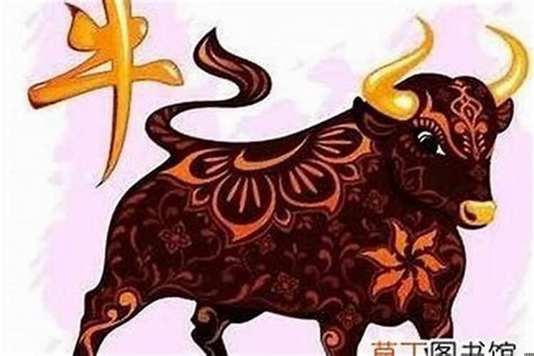 属牛的今年本命年戴什么好