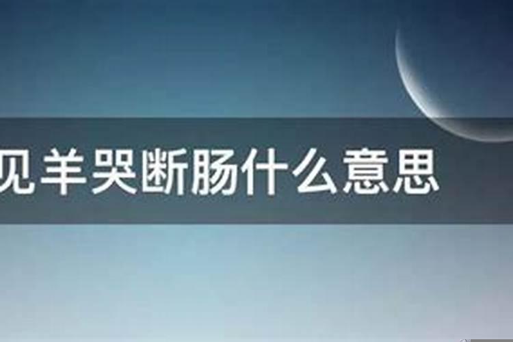 女蛇男羊婚姻是否相配好