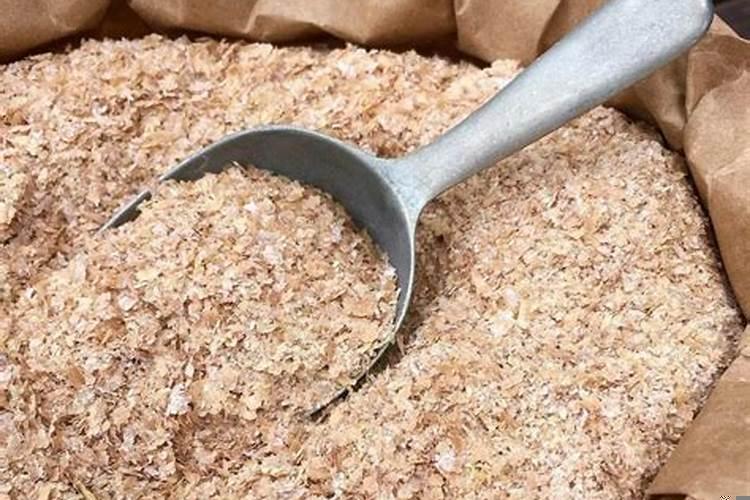 米糠喂鸡的好处和坏处