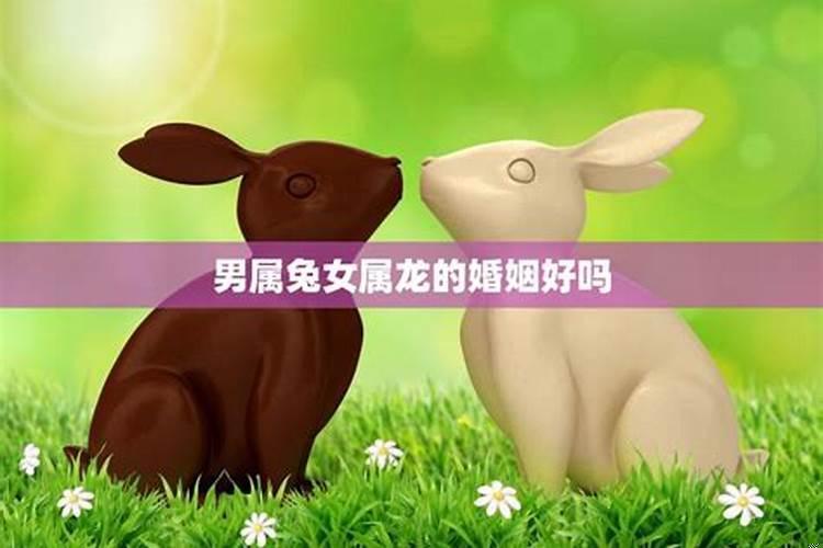 属龙的女孩和属兔的男孩