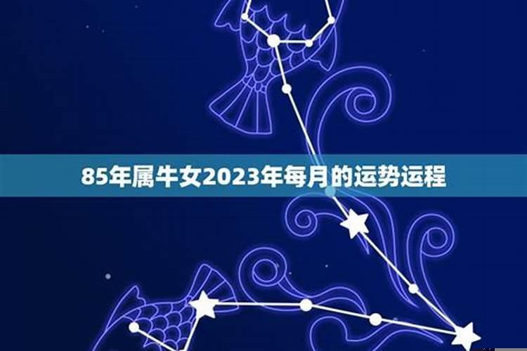 属牛这个月运势如何女