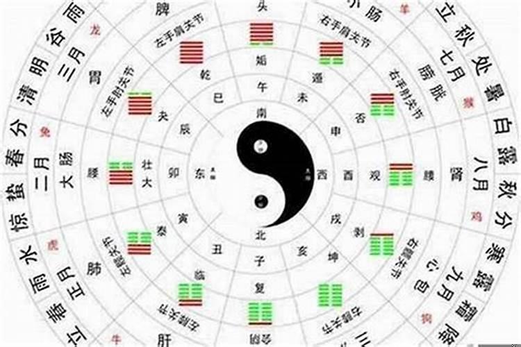 怎么算属于什么命
