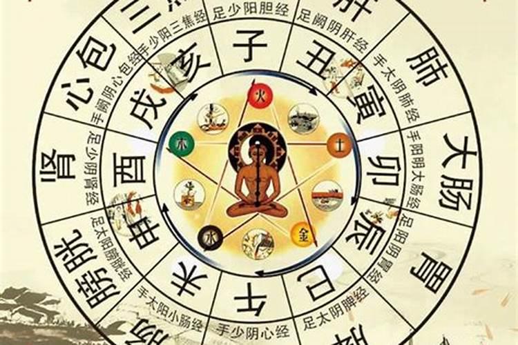 2015年属生肖属什么