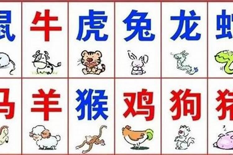 常遇贵人或家中富裕的生肖有哪些