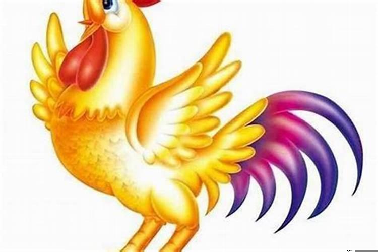 属鸡人如何提升财运和运气