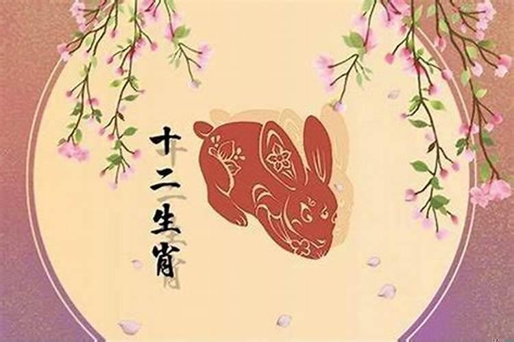 87年属兔男的婚姻如何化解