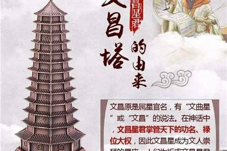 开运竹好还是富贵竹好