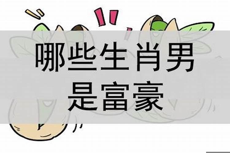 能成为富豪的生肖男