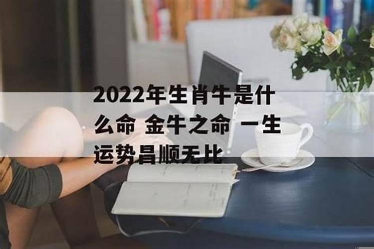 2022年生肖牛是什么命