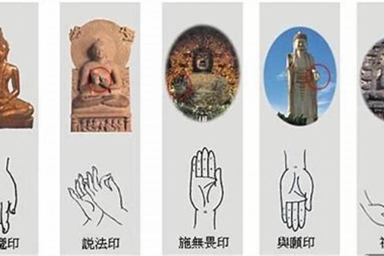 七侠五义武功排行榜